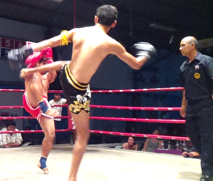 Muay Thai Professional